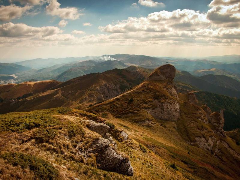 波普艺术<br>dxiixch.cn 安迪沃霍尔罐头